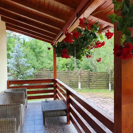 Vila Paradise Villa Telega